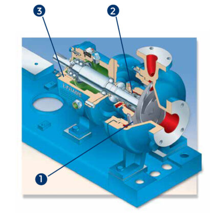Goulds 3196 Design Features